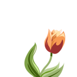 SkyTulip