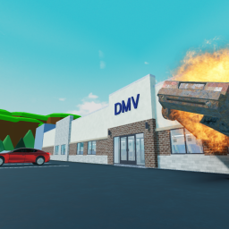 The DMV Expirience