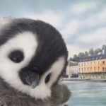PENGUIN ARMY JOIN NOW