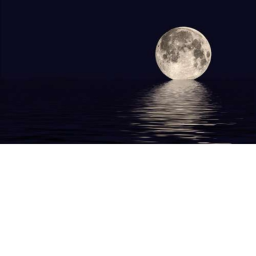 SPACEFLIGHT: MOON