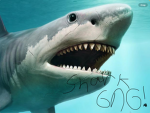 Shark gng!