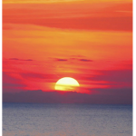 DOGS ARE amazing LOL