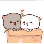 ❤️KittyKat❤️