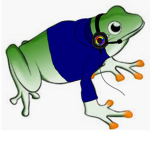 Frog Gaming Studios