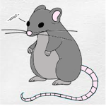 ~_~rAt aNd fRieNds~_~