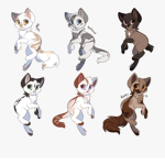<> The Dark Cats <>