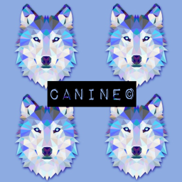 CANINE® HOMESTORE
