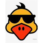 the fowl gamers