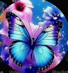 Butterfly group 2011