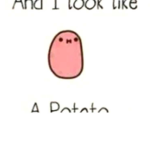 POTATO YAS