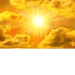 Sunshine's trade!