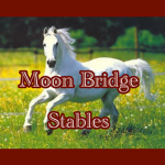 Horses :D