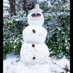 Untitled goofy snomans