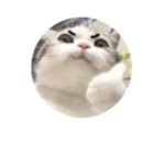 FONKUNG1