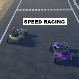 Speed Racing