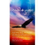 Wings as eagles