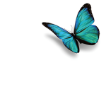 Blue Butterfly Squad XD