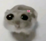 De la yo UwU