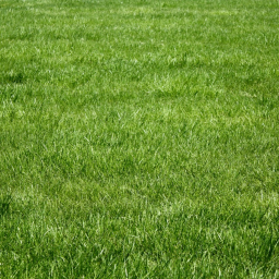 its just grass.