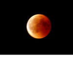 Red Moon kings