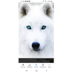 Night worrior's pack