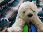 Big Bears United.
