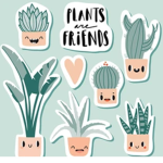Plants for fariy
