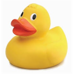 Duck is love duck is life