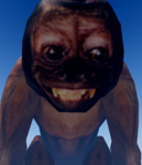fella card