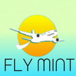 FlyMINT