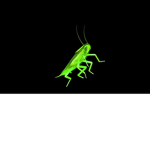 Roaches OnLy WeWeWeWWWW
