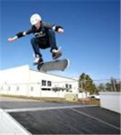 worlds best skateboard team