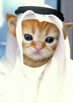 Halal forever