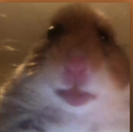 Rat banana club