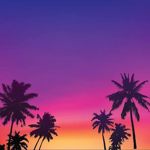 Tropical/Vibes