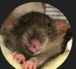 Luvaustinnnnnnnnnnnns fan group
