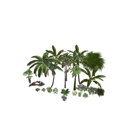 Tropical PBR Plants