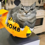 cats arent real