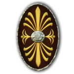 Auxiliary Cohort