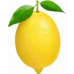 Lunar Lemon Studios