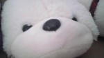 FUZZYBEARS!!!!!!!