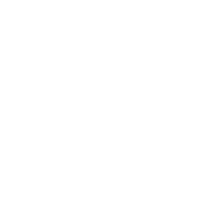 Falling Snow Particles