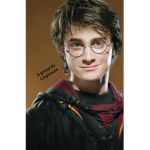 -## Harry Potter fans •l-