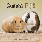 Guinea Pig Group.