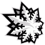 Toronto Blizzard
