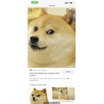 A Fan of Doges