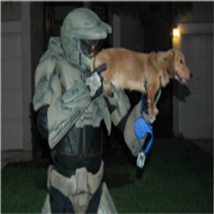 Dog gun Roblox decal