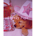 Lovely Pups <3
