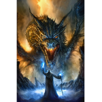 Mr,dragon