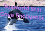 Seaworld Star Cove Encounter